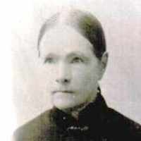 Celia Hall (1825 - 1898) Profile